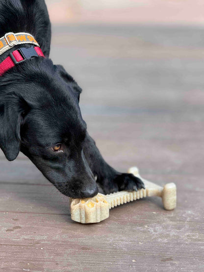 Black dog chewing Honey Bone Dental Flower Tower indestructible nylon chew toy on wooden floor