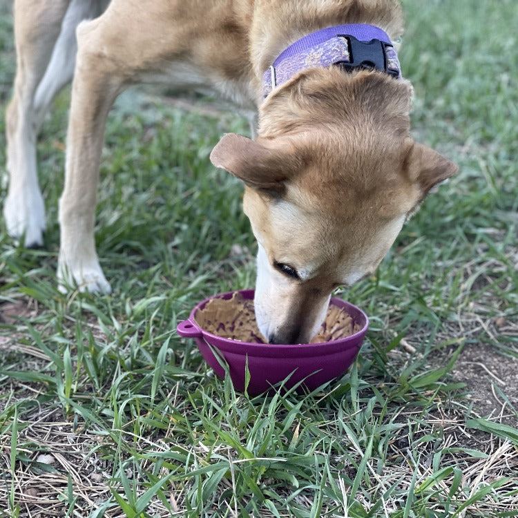 Wobble Lick Mat - Garden of Eatin' Tipsy Bowl, Dogs & Cats | USA Made
