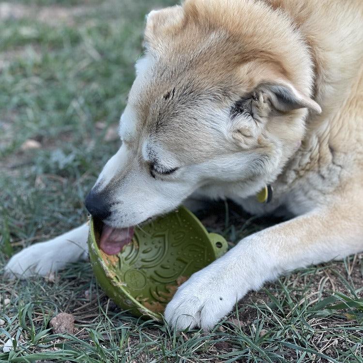 Wobble Lick Mat - Garden of Eatin' Tipsy Bowl, Dogs & Cats | USA Made