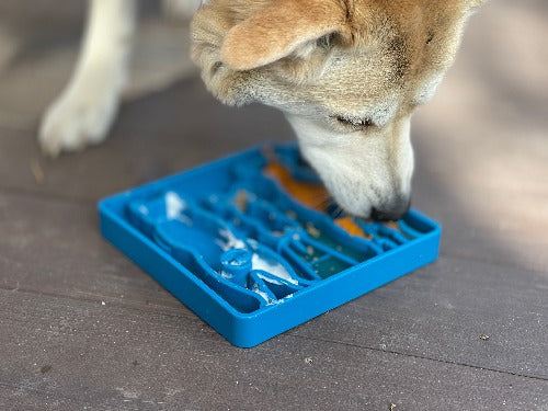 Dog eating from blue shallow slow feeder tray with waiting dogs pattern, USA-made enrichment eTray