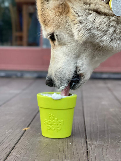 Dog licking treats from a green SodaPup Large Flower Pot durable rubber treat dispenser on wooden floor