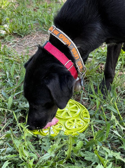 Black dog licking a citrus design enrichment lick mat on grass outdoors