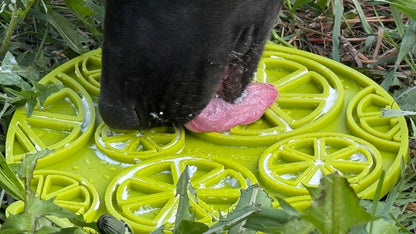 Dog licking yellow citrus design enrichment lick mat outdoors with treats