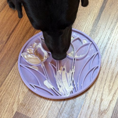 Black dog licking creamy treat from purple tulip design enrichment lick mat for dogs on wooden floor
