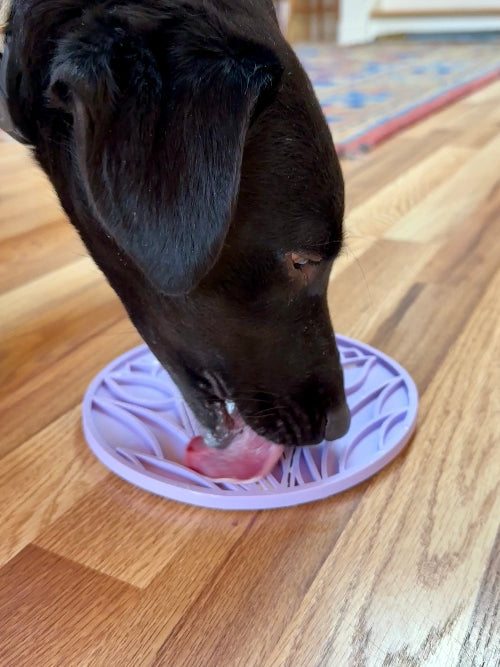 Dog licking soft treat from purple tulip design enrichment lick mat for dogs on hardwood floor