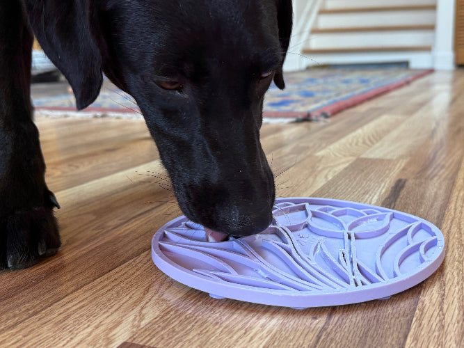 Black dog licking light purple tulip design enrichment lick mat for dogs on wooden floor