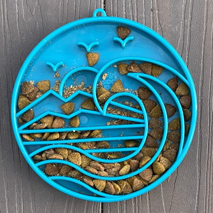Blue shallow slow feeder dog bowl with Baja-inspired ridges filled with dry dog food on dark surface
