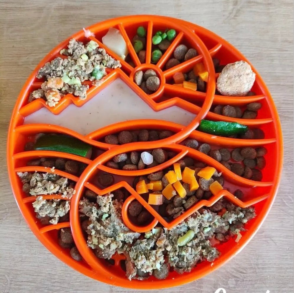 Orange Sun and Moon Design slow feeder dog bowl with kibble and mixed wet food in divided sections