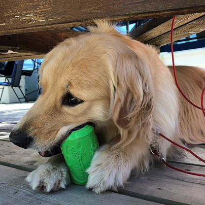 Golden retriever chewing green Can Toy eDispenser durable rubber chew toy and treat dispenser on wooden floor
