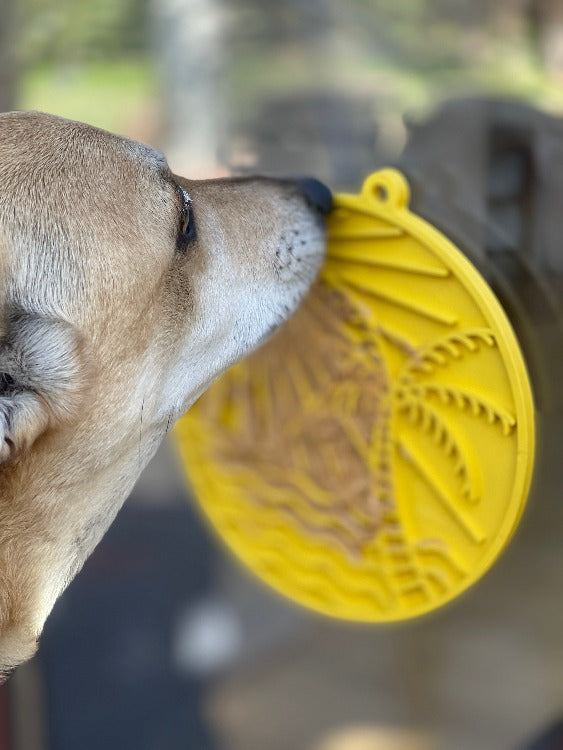 Dog using yellow Sun n' Sea eMat enrichment lick mat with suction cups on glass window