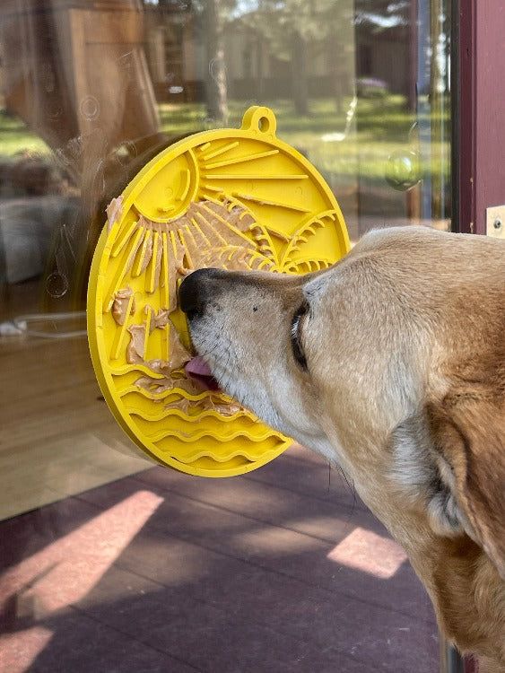 Dog licking yellow Sun n' Sea eMat lick mat with suction cups on glass door