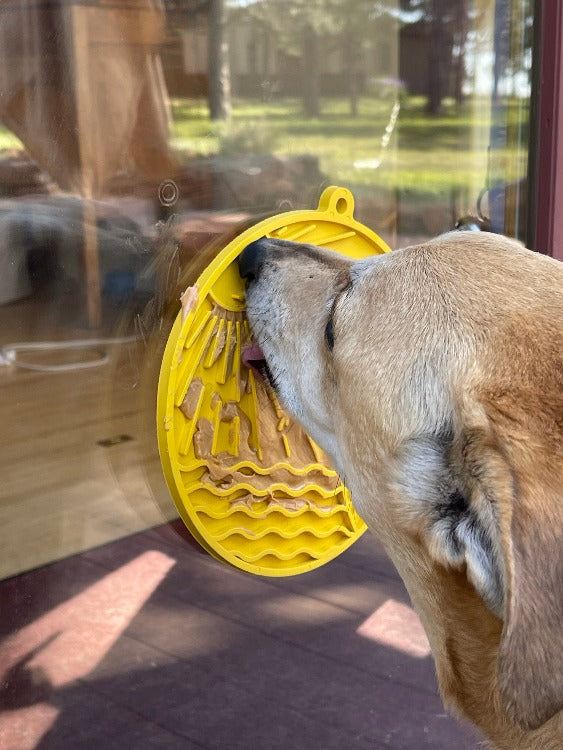 Dog licking yellow Sun n' Sea eMat enrichment lick mat with suction cups attached to glass door