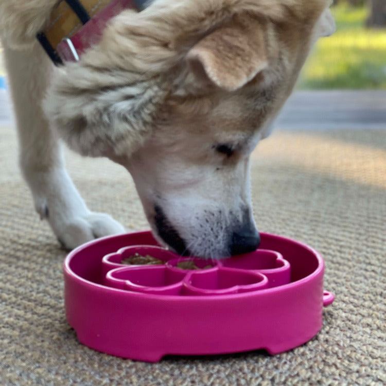 Dog eating from pink Flower eBowl deep slow feeder dog bowl with flower-shaped segmented design for healthier eating and enrichment