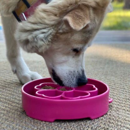 Dog eating from pink Flower eBowl deep slow feeder dog bowl with flower-shaped segmented design for healthier eating and enrichment