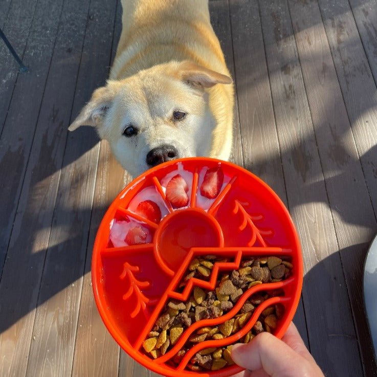 Dog eating from orange Great Outdoors slow feeder dog bowl with raised ridges and food compartments on wooden deck