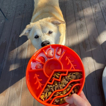 Dog eating from orange Great Outdoors slow feeder dog bowl with raised ridges and food compartments on wooden deck