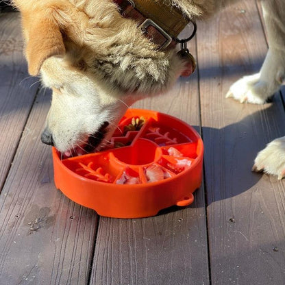 Dog eating from orange Great Outdoors slow feeder dog bowl with raised ridges on wooden floor