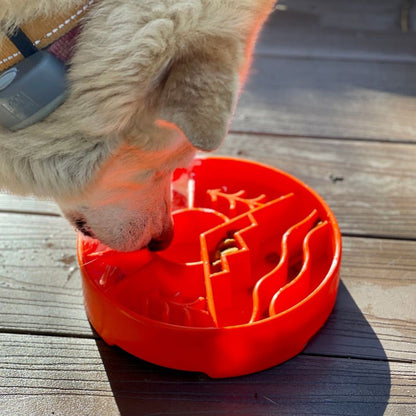 Dog eating from orange Great Outdoors slow feeder dog bowl with raised ridges on wooden floor