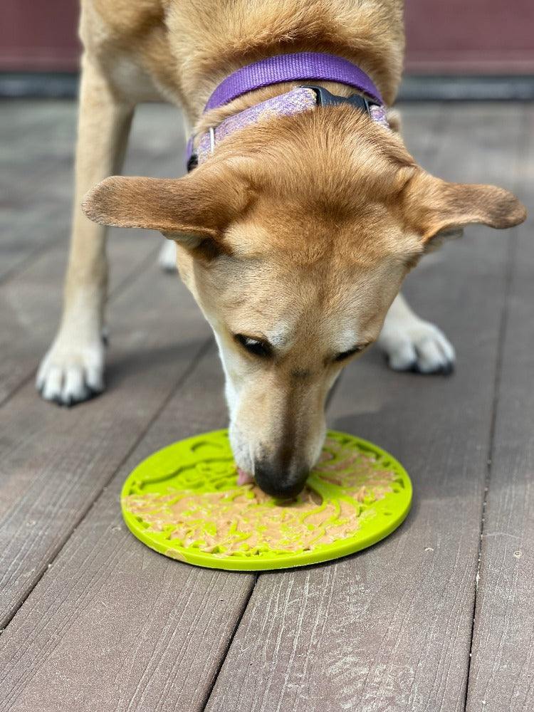 Dog licking green Tree of Life eMat lick mat with textured surface and suction cups on wooden floor