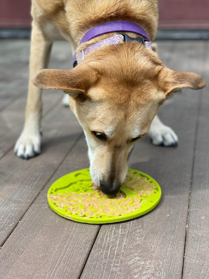 Dog licking green Tree of Life eMat lick mat with textured surface and suction cups on wooden floor