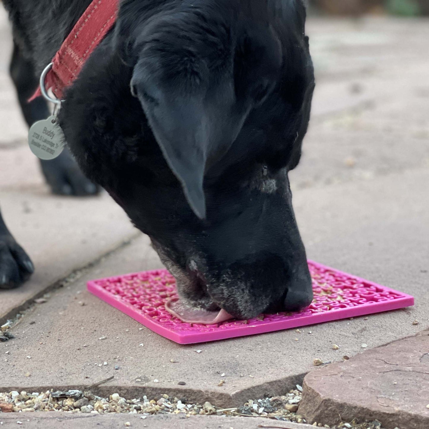 Black dog licking pink Jigsaw Puzzle eMat lick mat for mental stimulation and anxiety relief