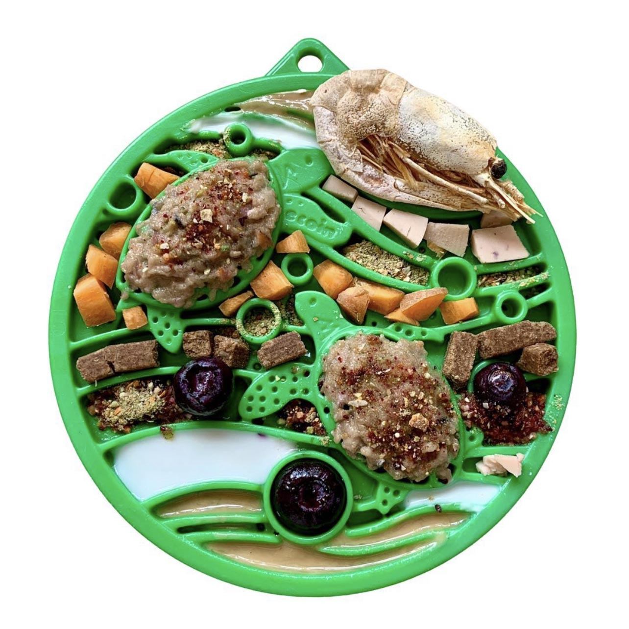 Green Water eCoin nylon dog enrichment Snacking Coin  with textured turtle design filled with various dog treats and snacks.