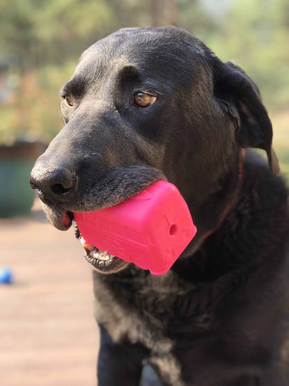 Dog chewing on pink Surf's Up Retro Van Durable Chew Toy - Long-Lasting Treat Dispenser for Dogs