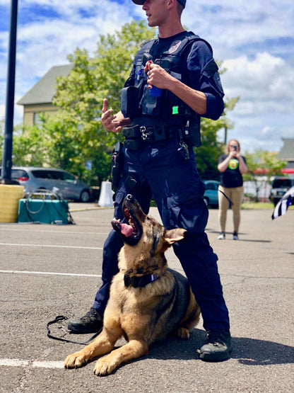 Police K9 handler with German Shepherd in outdoor training session