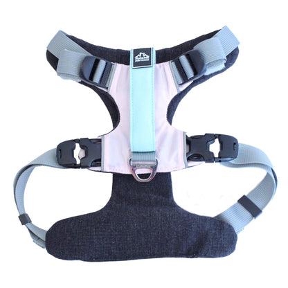 Everyday Adventure Dog Harness - Quick Adjust, Durable Water-Resistant