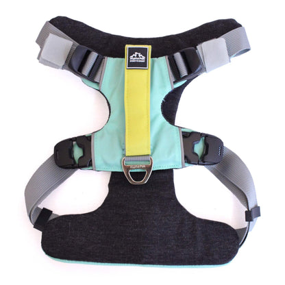 Everyday Adventure Dog Harness - Quick Adjust, Durable Water-Resistant