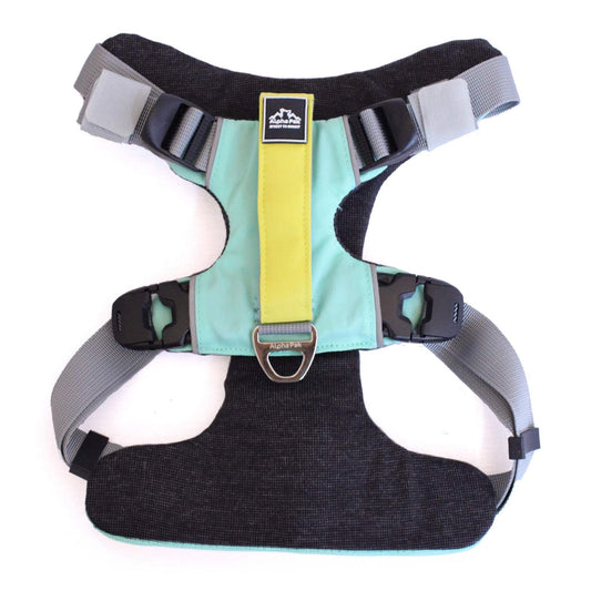Everyday Adventure Dog Harness - Quick Adjust, Durable Water-Resistant