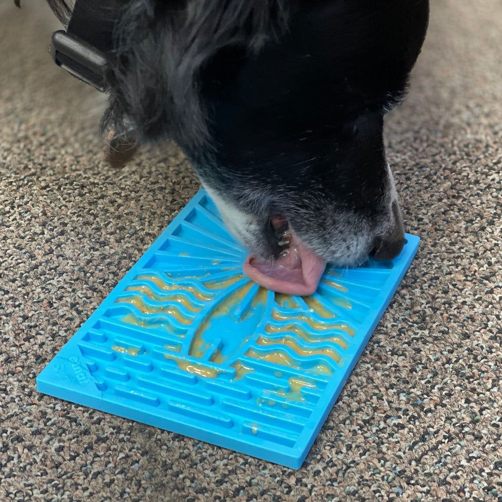 Surf's Up eMat - Small Beach-Themed Dog and Cat Enrichment Toy | SodaPup