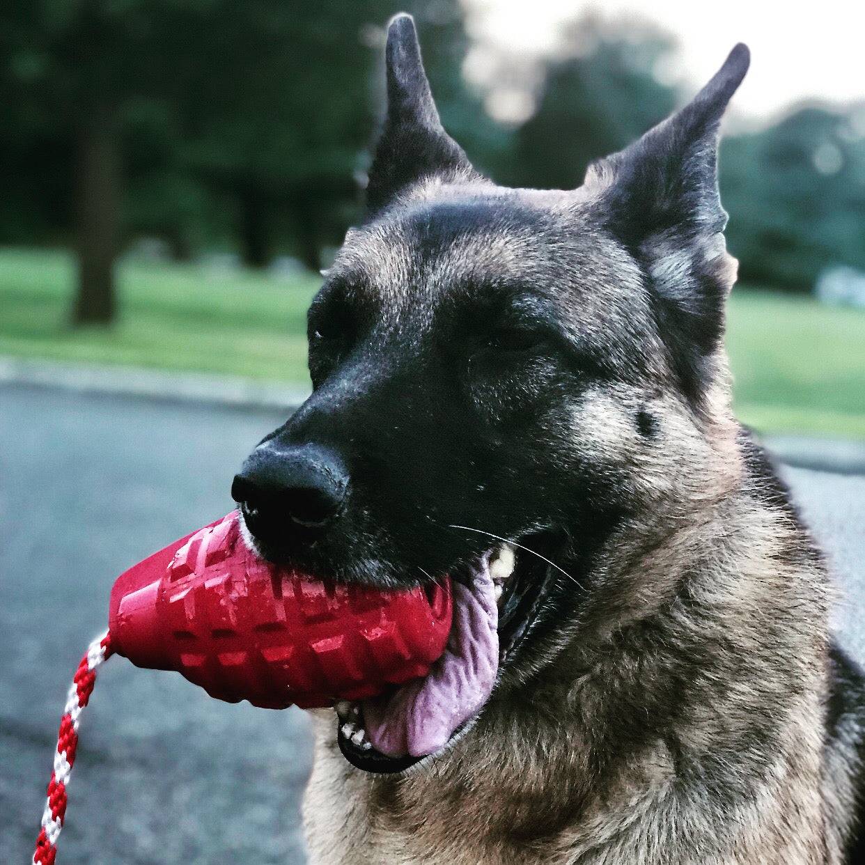 USA-K9 Grenade Durable Rubber Chew Toy, Treat Dispenser & Tug Function
