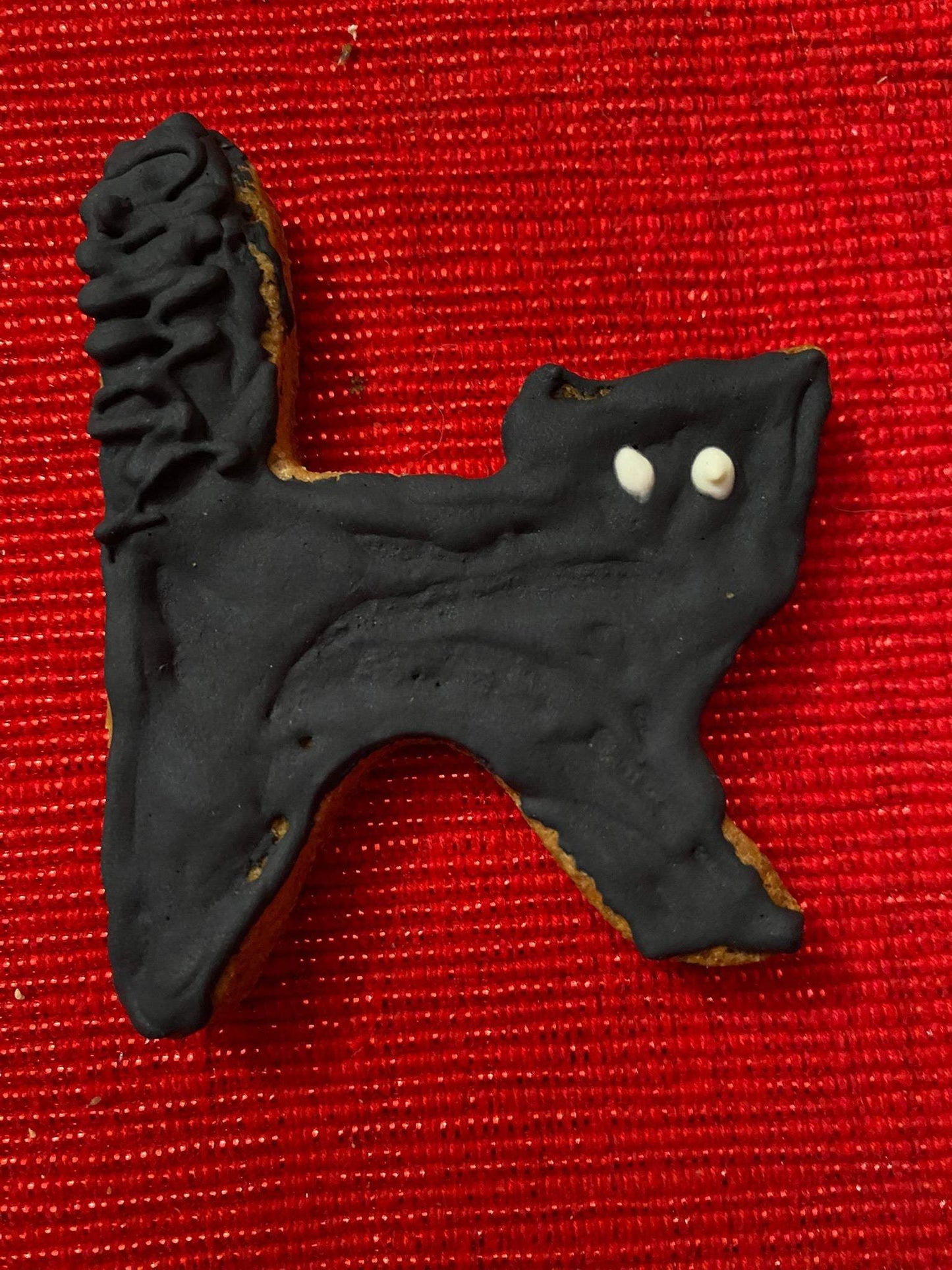 Black cat shaped Halloween organic dog cookie with icing on red textured surface
