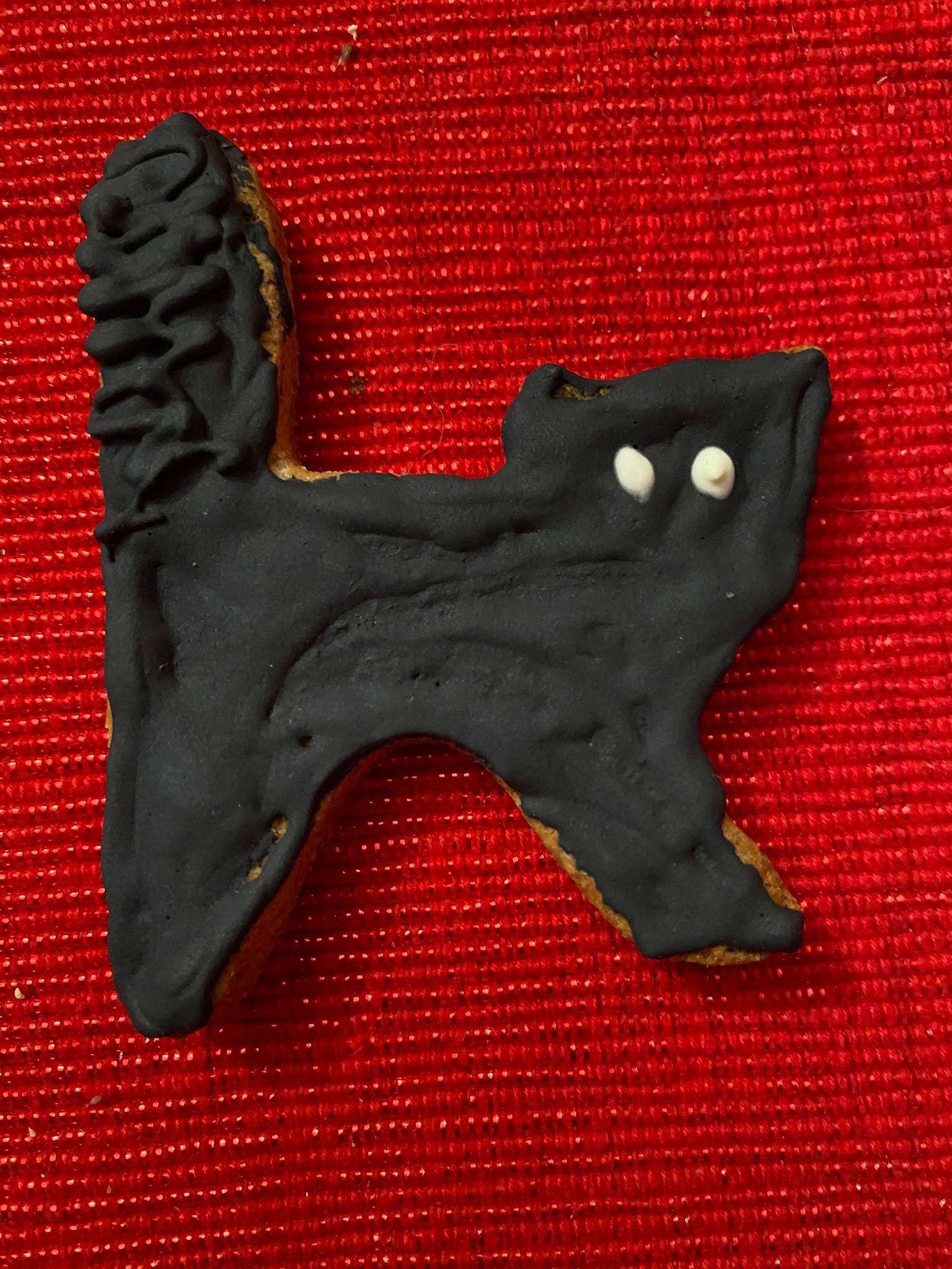 Black cat shaped Halloween organic dog cookie with icing on red textured surface