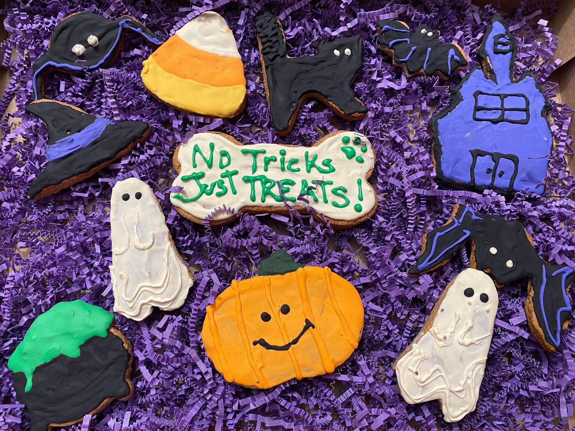 Halloween Organic Dog Cookie Box with decorated cookies shaped like ghosts, pumpkins, bats, witches hats, and a "No Tricks Just Treats" bone on purple shredded paper.