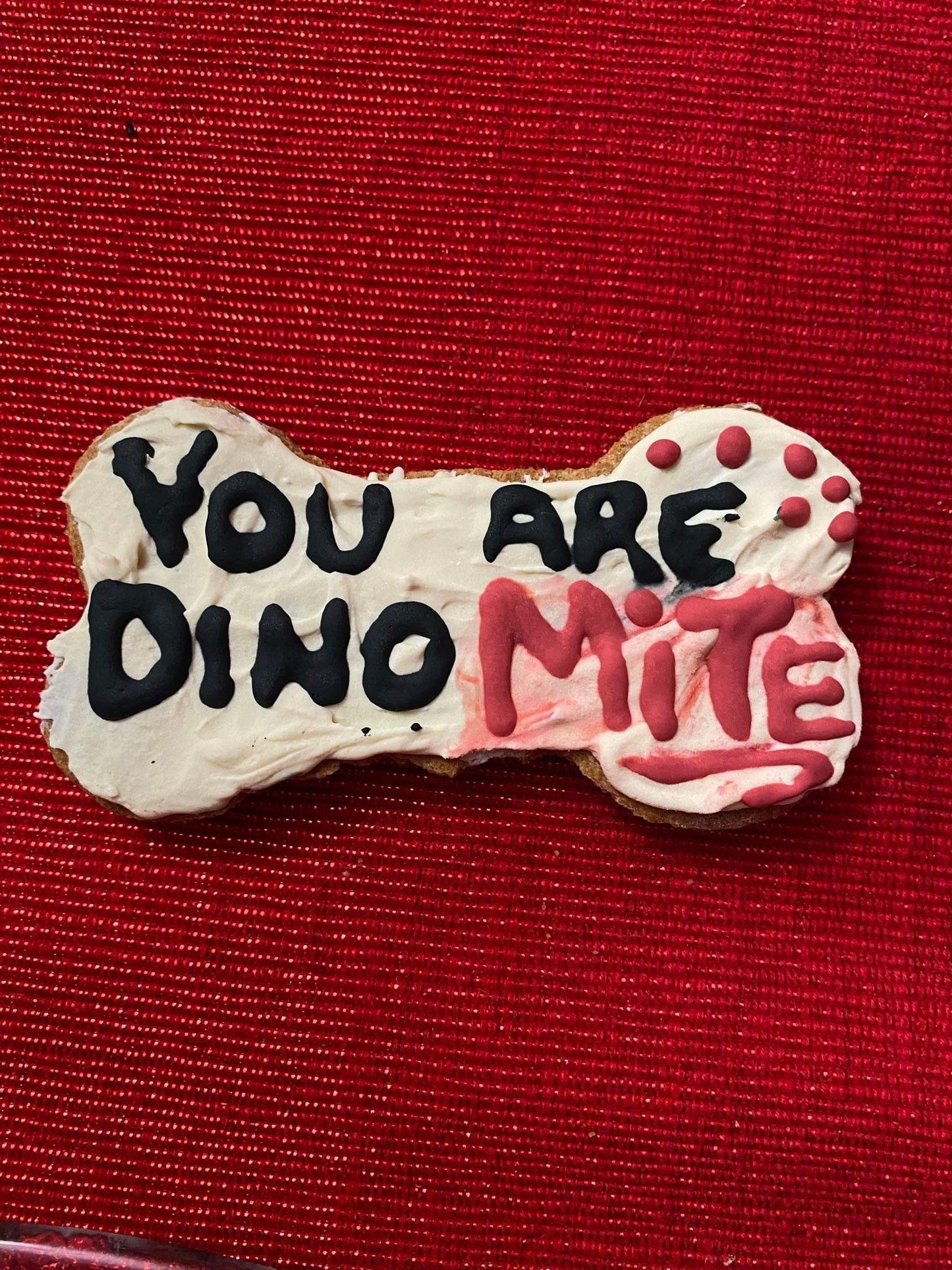 Dinosaur-shaped organic dog cookie with "You Are Dino Mite" icing on red background from Dinosaurs Organic Dog Cookie Box