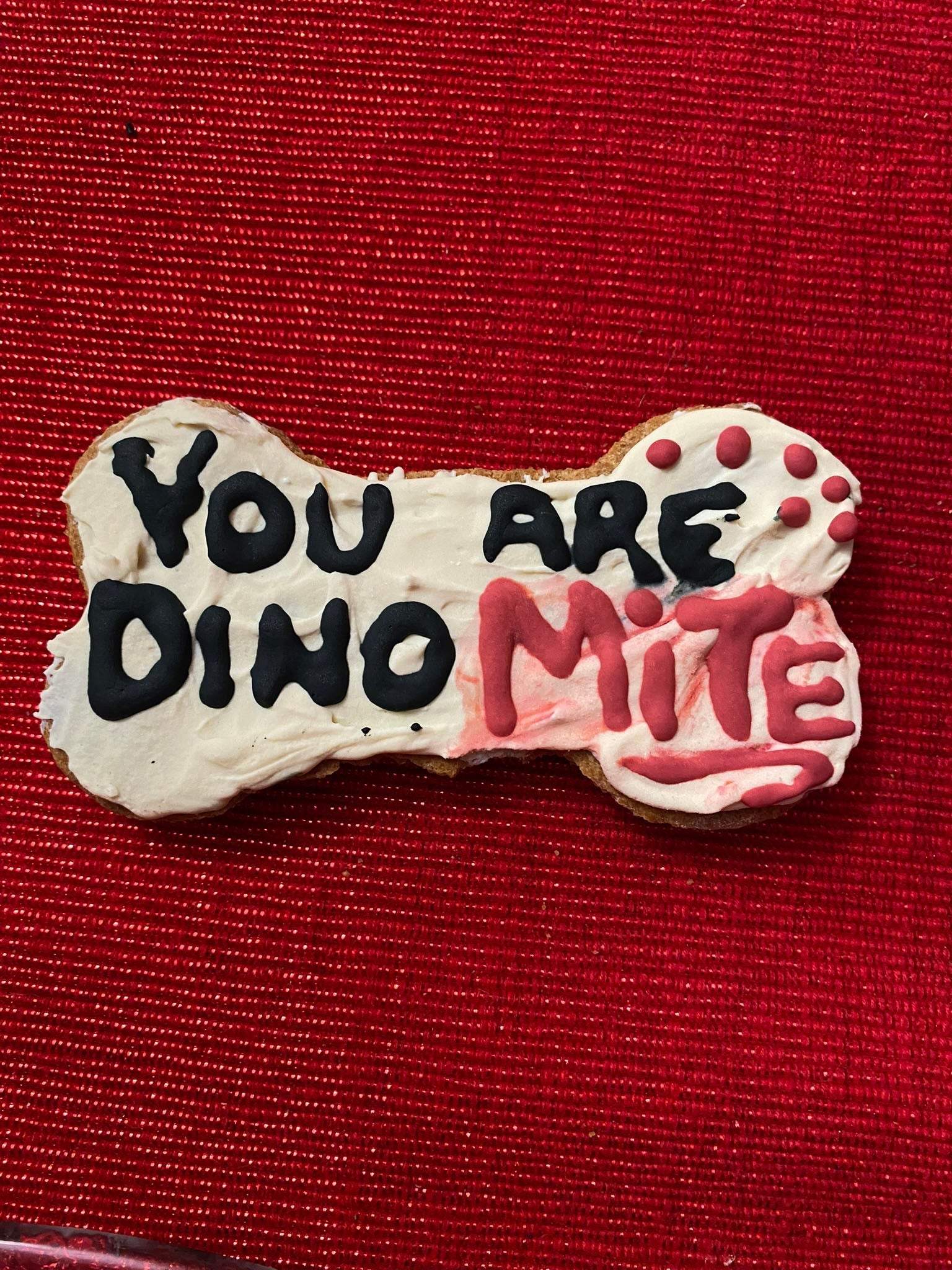 Dinosaur-shaped organic dog cookie with "You Are Dino Mite" icing on red background from Dinosaurs Organic Dog Cookie Box