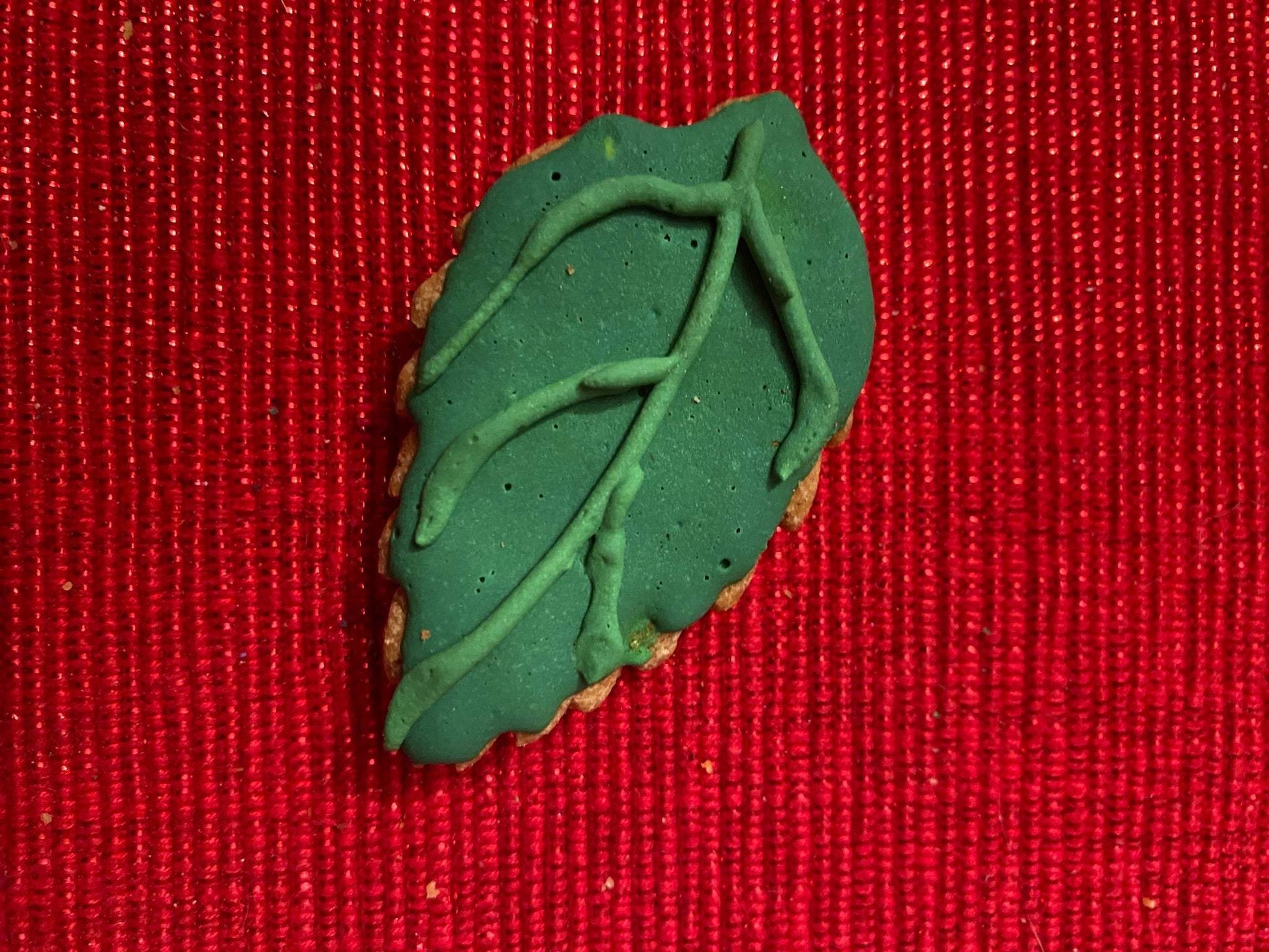 Green dinosaur leaf-shaped organic dog cookie on red textured background Dinosaurs Organic Dog Cookie Box treat