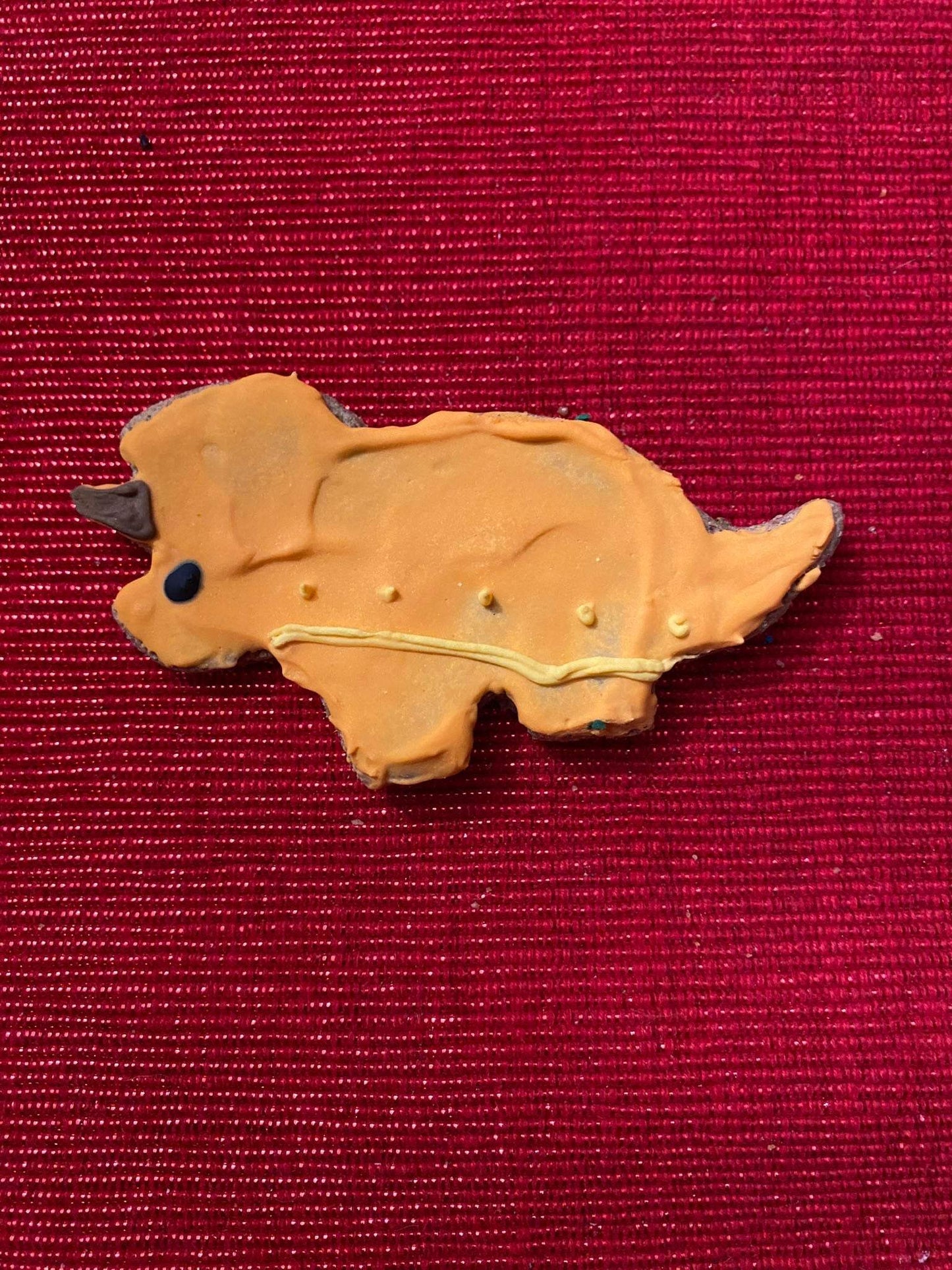 Dinosaur-shaped organic dog cookie on red textured background from Dinosaurs Organic Dog Cookie Box
