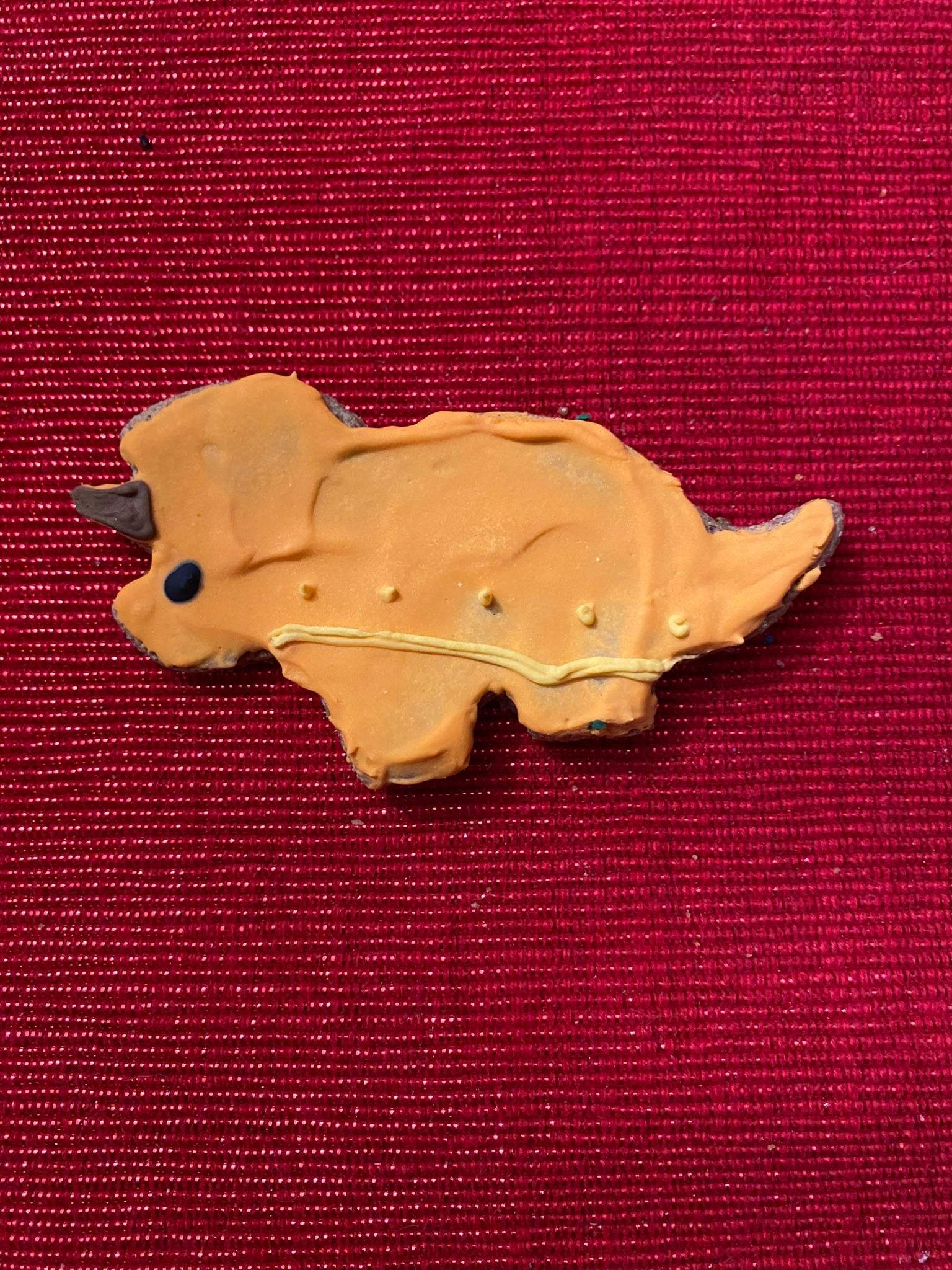 Dinosaur-shaped organic dog cookie on red textured background from Dinosaurs Organic Dog Cookie Box