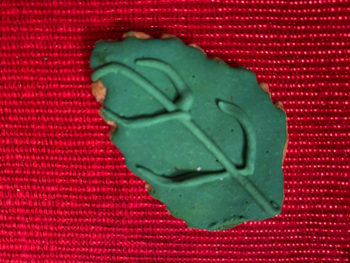 Green dinosaur-shaped organic dog cookie on red textured background from Dinosaurs Organic Dog Cookie Box