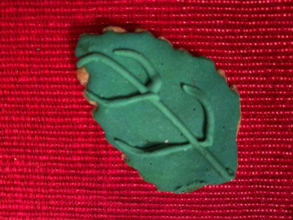 Green dinosaur-shaped organic dog cookie on red textured background from Dinosaurs Organic Dog Cookie Box