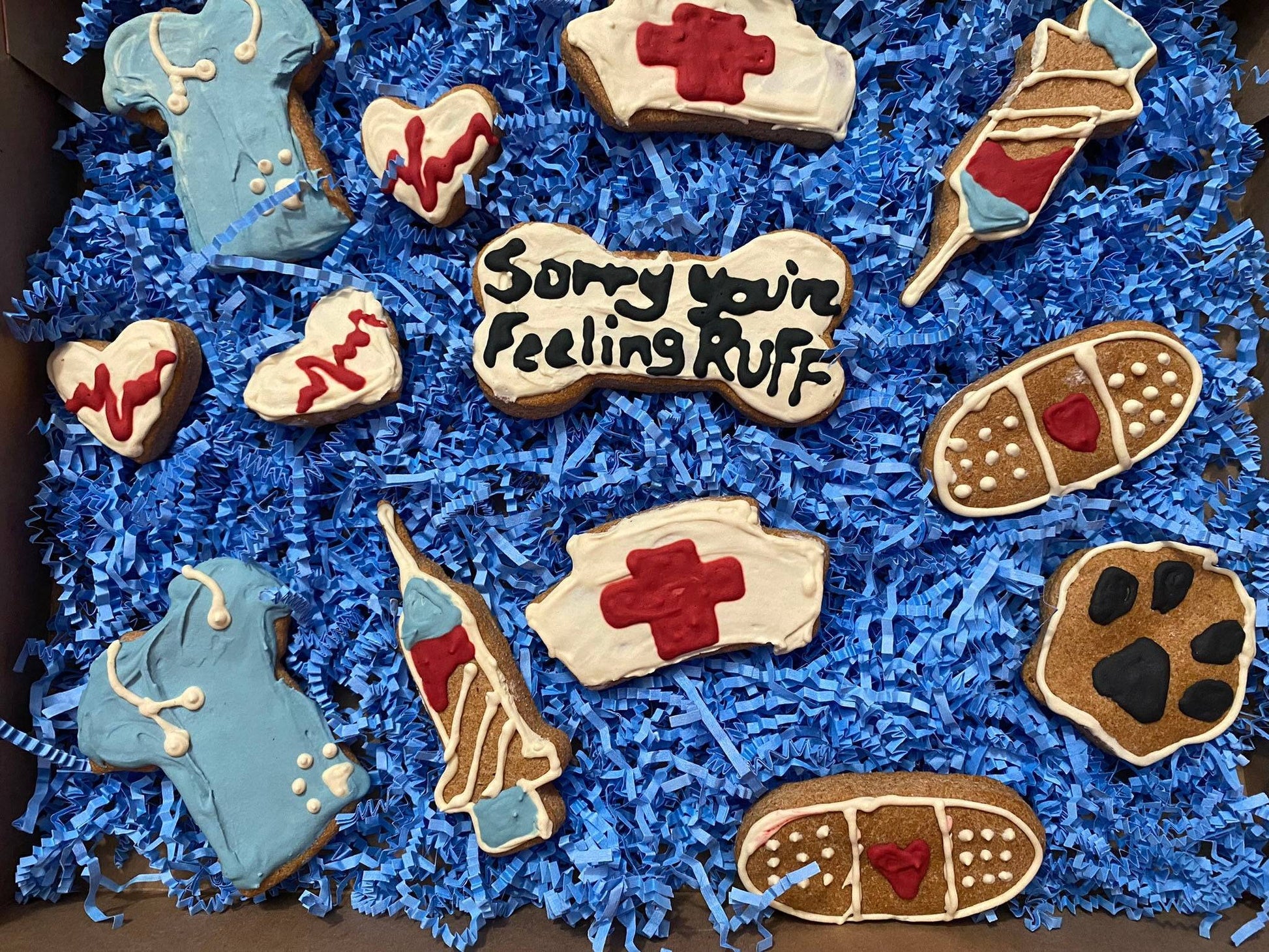 Get Well Organic Dog Cookie Box with medical-themed peanut butter dog treats on blue shredded paper