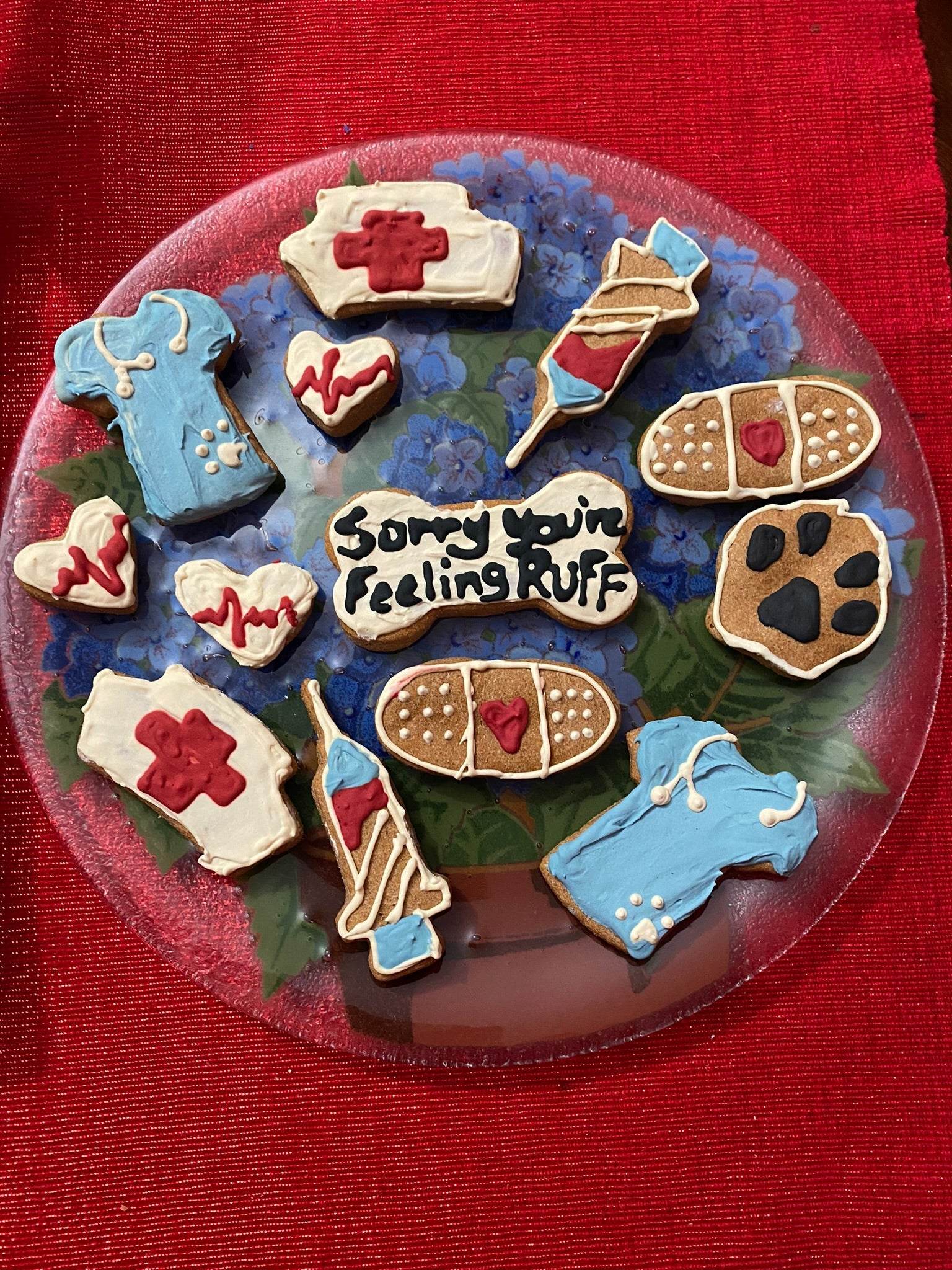 Get Well Organic Dog Cookie Box with medical-themed peanut butter dog treats including scrubs, bandages, syringe, and heart shapes on a plate