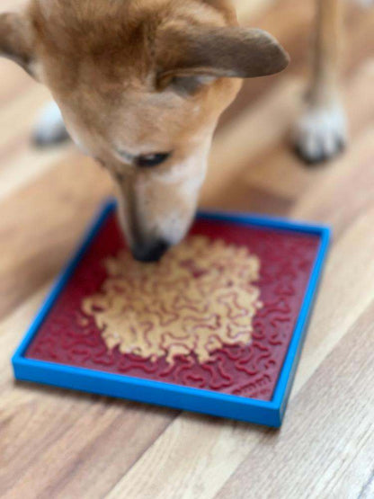 Dog eating from a SodaPup eMat held securely by Hold 'em Suction Cup Holder on wooden floor