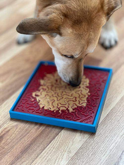 Dog licking treat from a stable blue SodaPup eMat held by Hold 'em suction cup holder on wooden floor