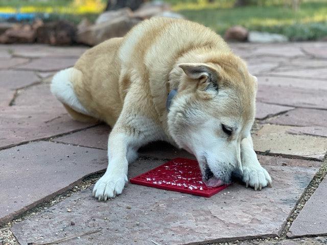 Dog using SodaPup Love eMat Enrichment red heart-shaped lick mat for calming and mental stimulation