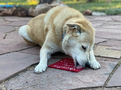 Dog using SodaPup Love eMat Enrichment red heart-shaped lick mat for calming and mental stimulation
