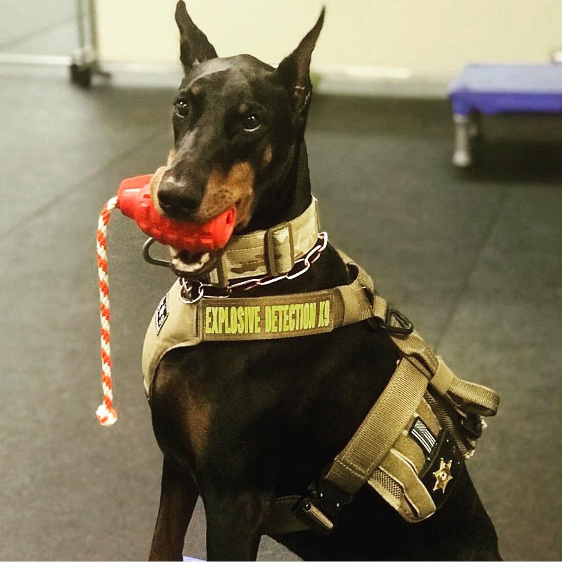 USA-K9 Magnum Grenade: Durable Rubber Chew and Treat Dispenser Toy!